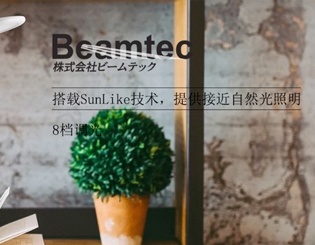 國外工程案例